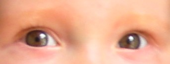 yeux01.jpg