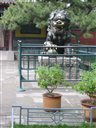 Statue reprsentant un lion, symbole de pouvoir