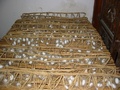 Cocons de vers  soie
